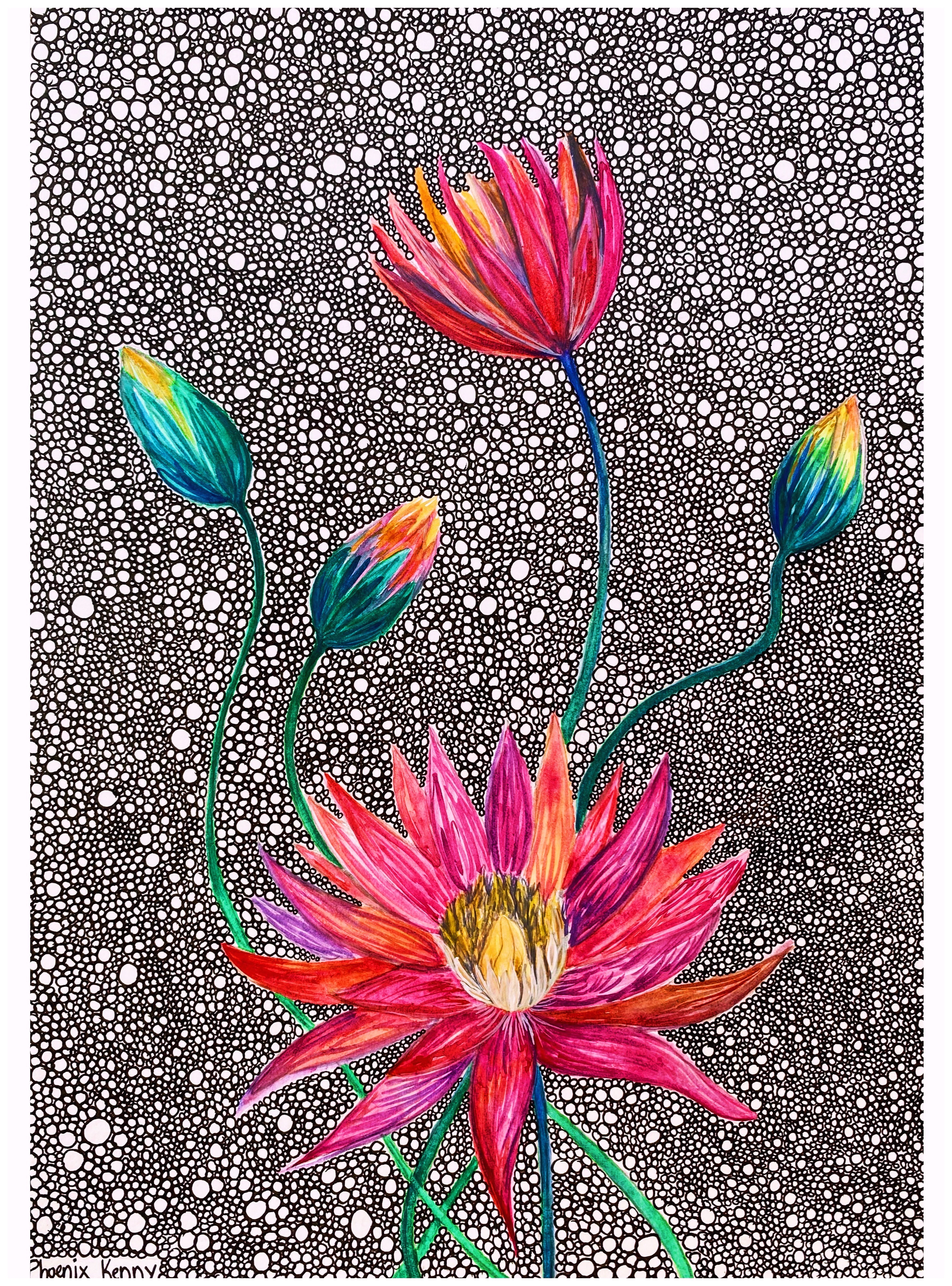 Bloom